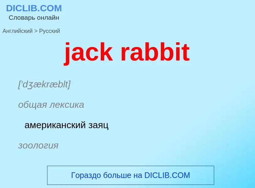 Как переводится jack rabbit на Русский язык