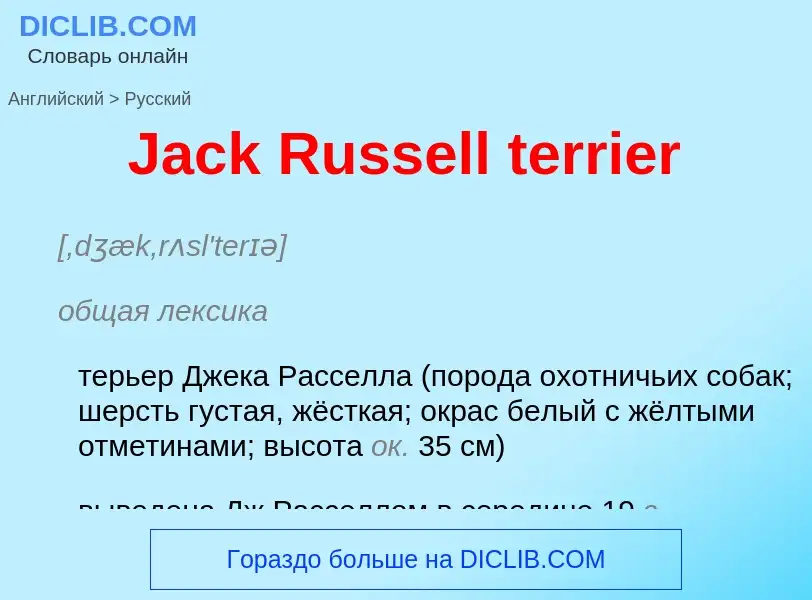 Как переводится Jack Russell terrier на Русский язык