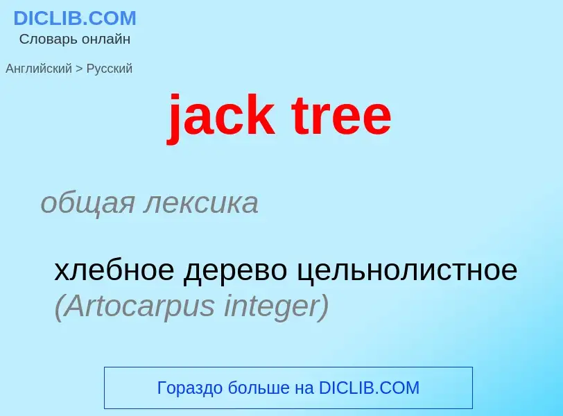 ¿Cómo se dice jack tree en Ruso? Traducción de &#39jack tree&#39 al Ruso