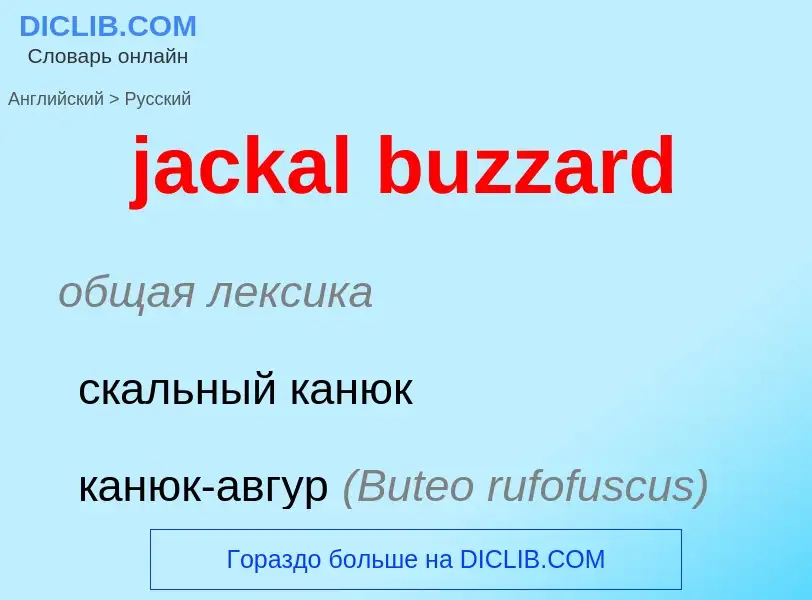 ¿Cómo se dice jackal buzzard en Ruso? Traducción de &#39jackal buzzard&#39 al Ruso