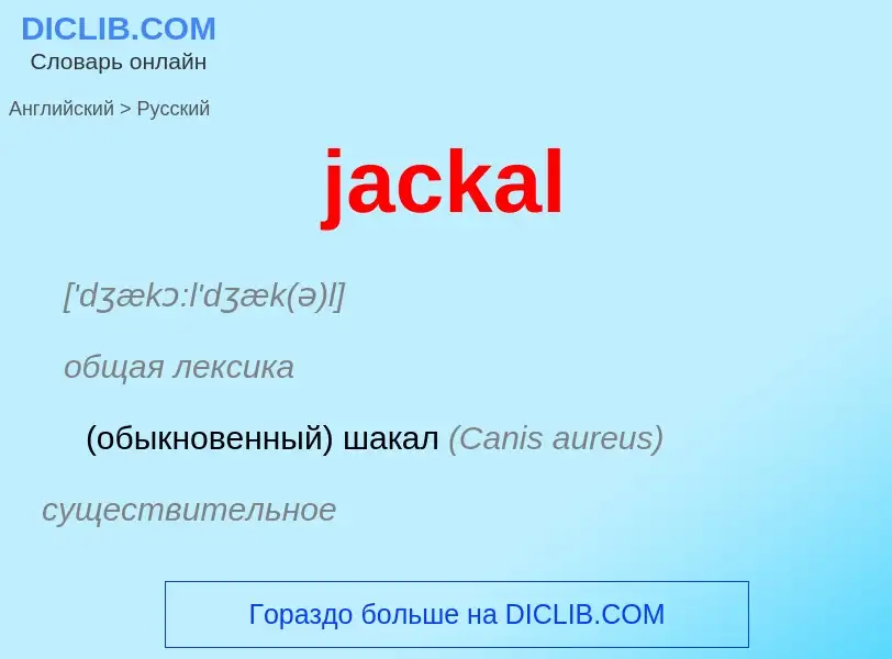 ¿Cómo se dice jackal en Ruso? Traducción de &#39jackal&#39 al Ruso