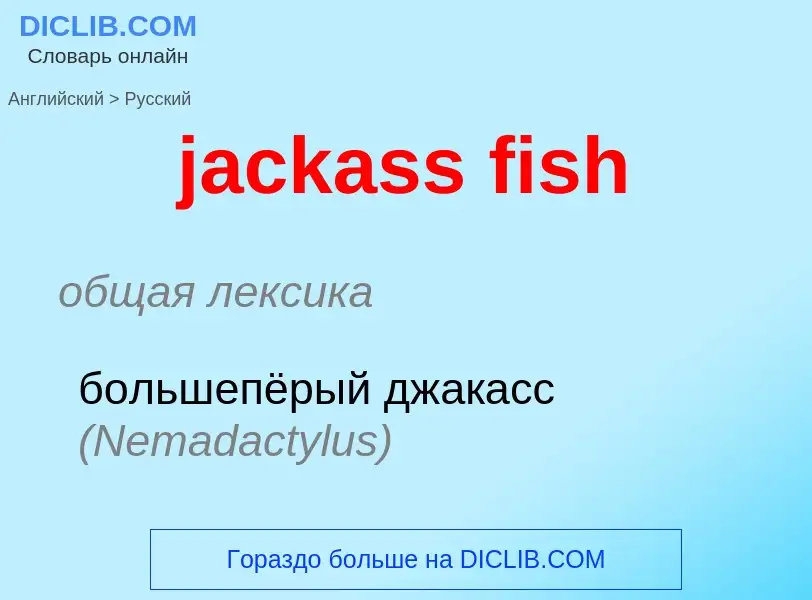 ¿Cómo se dice jackass fish en Ruso? Traducción de &#39jackass fish&#39 al Ruso