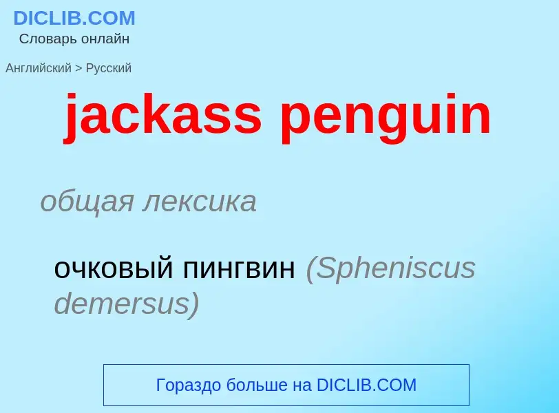 Как переводится jackass penguin на Русский язык