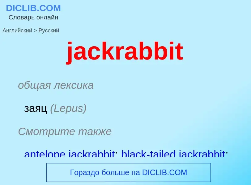 ¿Cómo se dice jackrabbit en Ruso? Traducción de &#39jackrabbit&#39 al Ruso