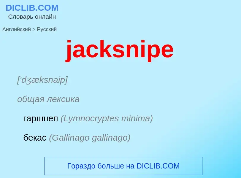 ¿Cómo se dice jacksnipe en Ruso? Traducción de &#39jacksnipe&#39 al Ruso