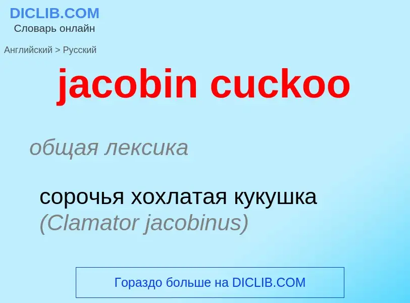 ¿Cómo se dice jacobin cuckoo en Ruso? Traducción de &#39jacobin cuckoo&#39 al Ruso