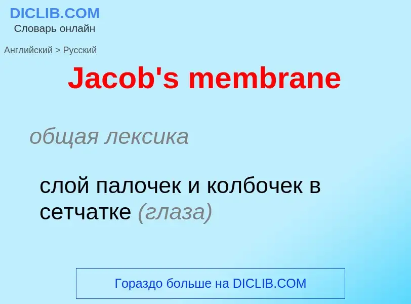 Как переводится Jacob's membrane на Русский язык