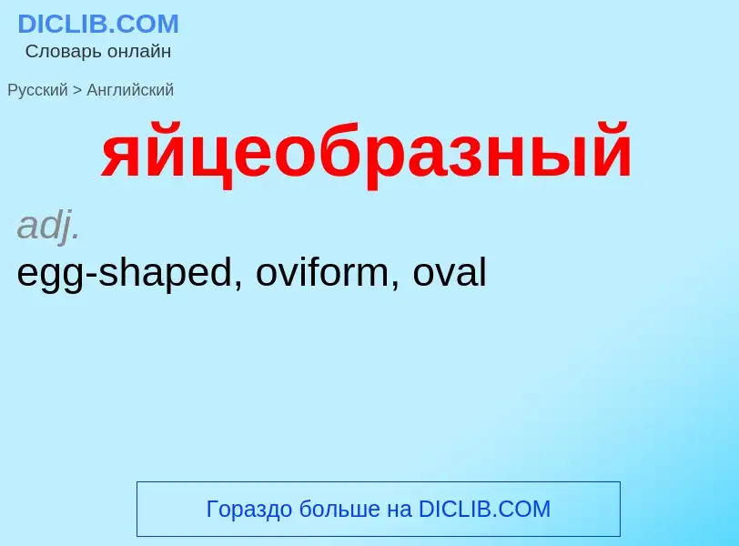 Μετάφραση του &#39яйцеобразный&#39 σε Αγγλικά