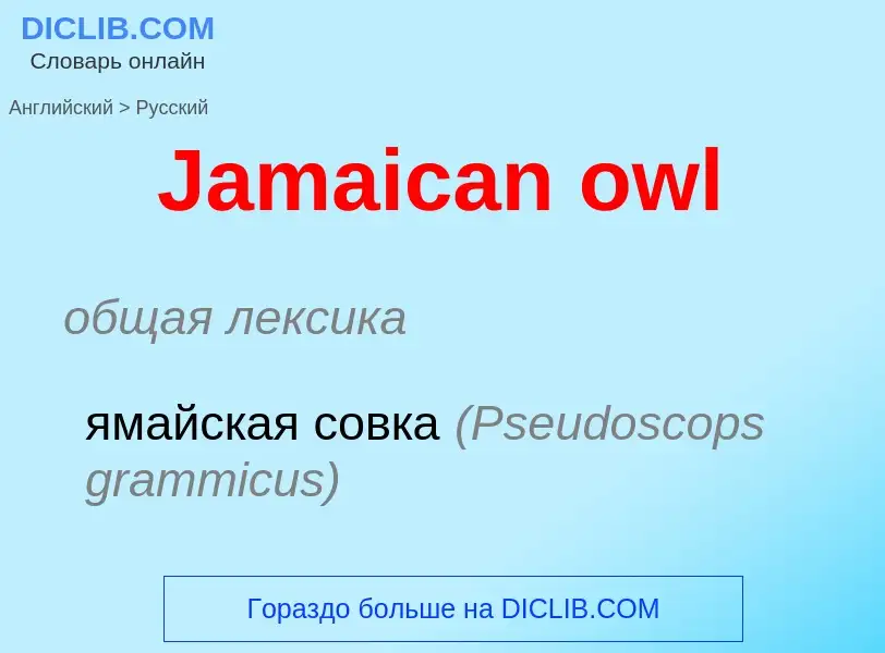 Μετάφραση του &#39Jamaican owl&#39 σε Ρωσικά