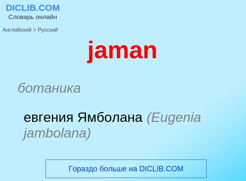 ¿Cómo se dice jaman en Ruso? Traducción de &#39jaman&#39 al Ruso