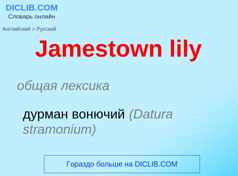 ¿Cómo se dice Jamestown lily en Ruso? Traducción de &#39Jamestown lily&#39 al Ruso