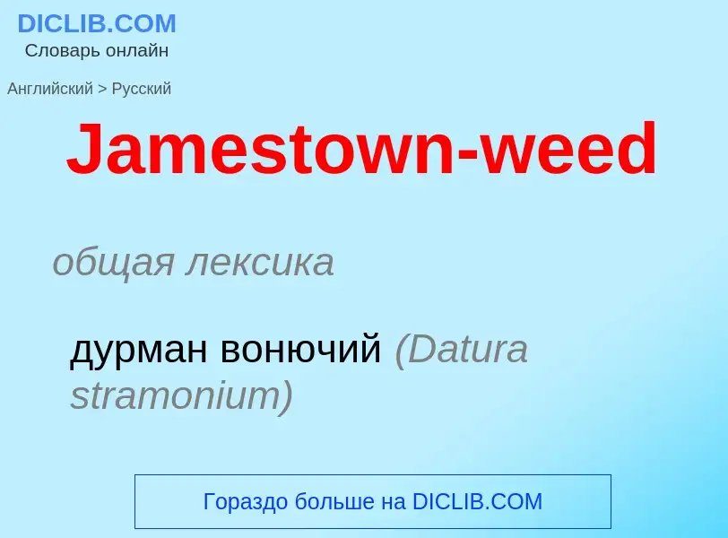 Μετάφραση του &#39Jamestown-weed&#39 σε Ρωσικά