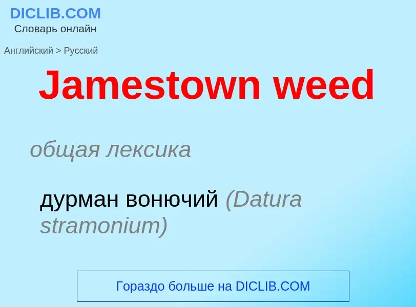 Как переводится Jamestown weed на Русский язык