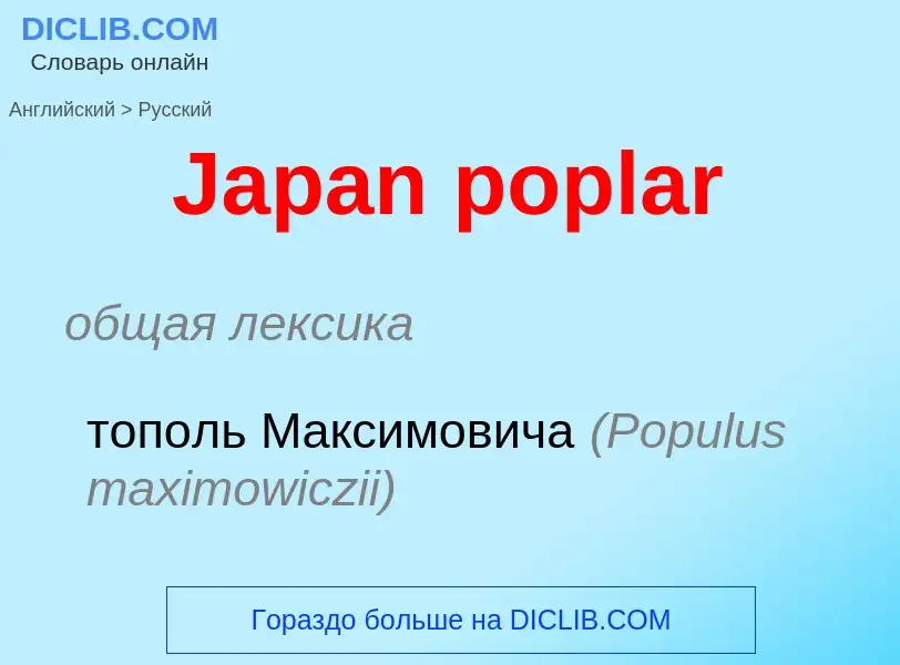 ¿Cómo se dice Japan poplar en Ruso? Traducción de &#39Japan poplar&#39 al Ruso