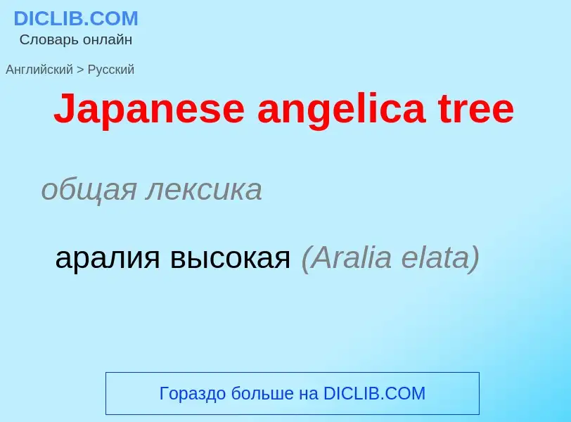 ¿Cómo se dice Japanese angelica tree en Ruso? Traducción de &#39Japanese angelica tree&#39 al Ruso