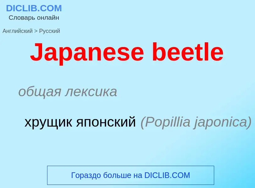 Μετάφραση του &#39Japanese beetle&#39 σε Ρωσικά