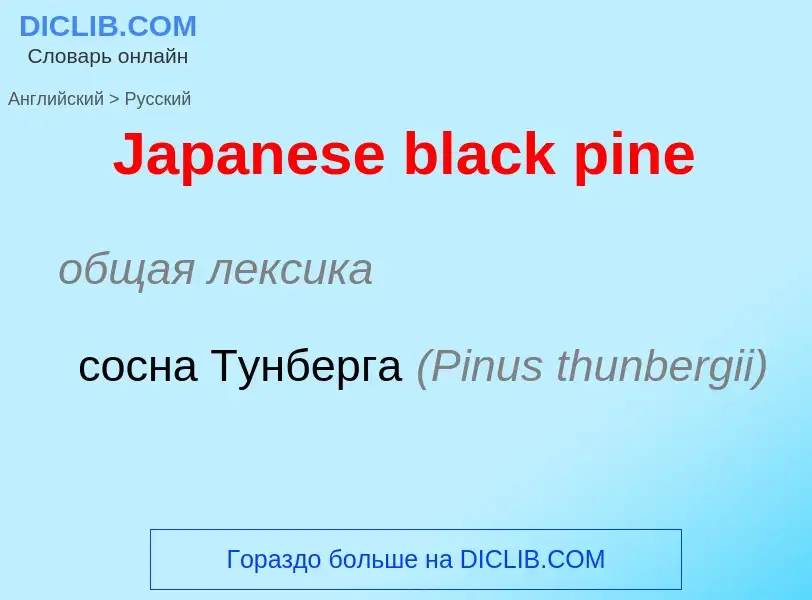 Μετάφραση του &#39Japanese black pine&#39 σε Ρωσικά