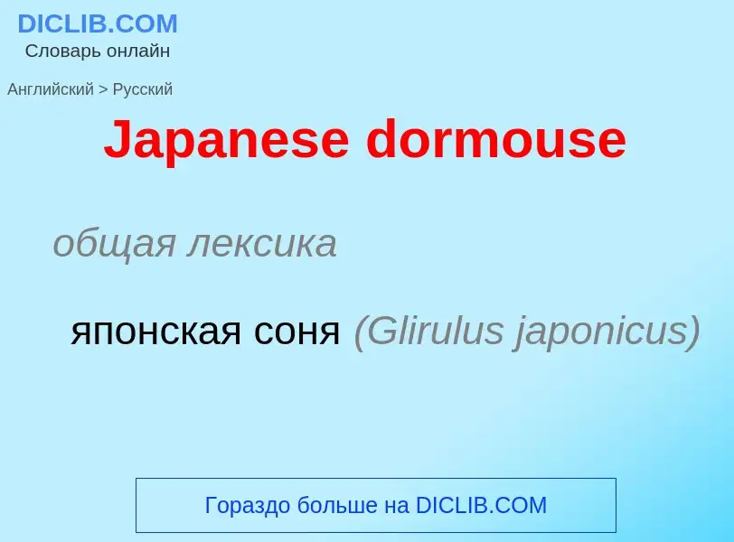 Μετάφραση του &#39Japanese dormouse&#39 σε Ρωσικά