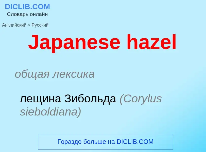 Как переводится Japanese hazel на Русский язык