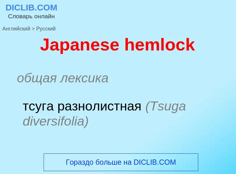 Μετάφραση του &#39Japanese hemlock&#39 σε Ρωσικά