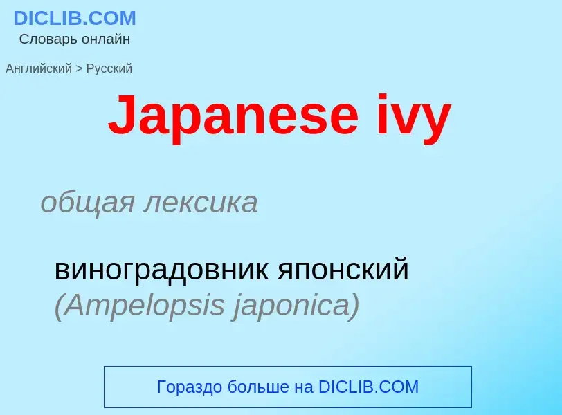 Vertaling van &#39Japanese ivy&#39 naar Russisch