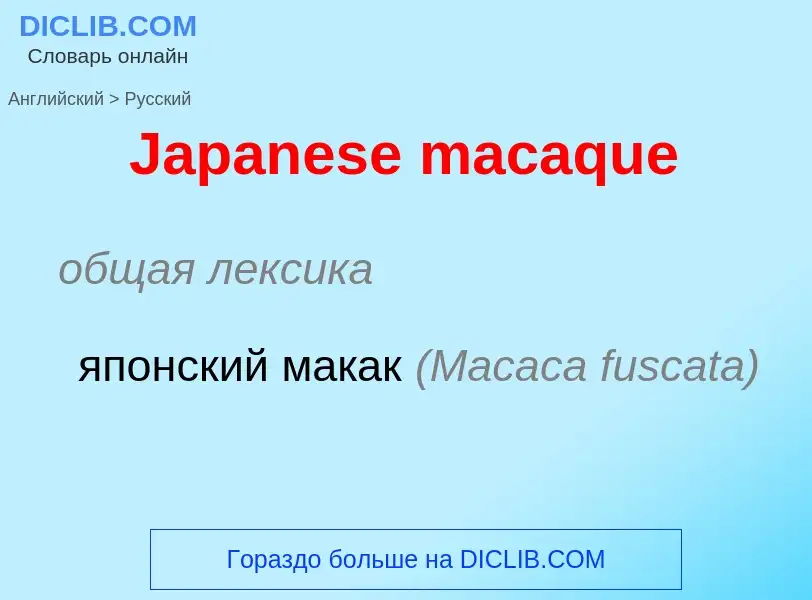 What is the Russian for Japanese macaque? Translation of &#39Japanese macaque&#39 to Russian