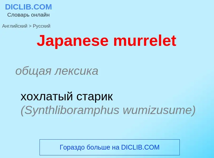 Μετάφραση του &#39Japanese murrelet&#39 σε Ρωσικά