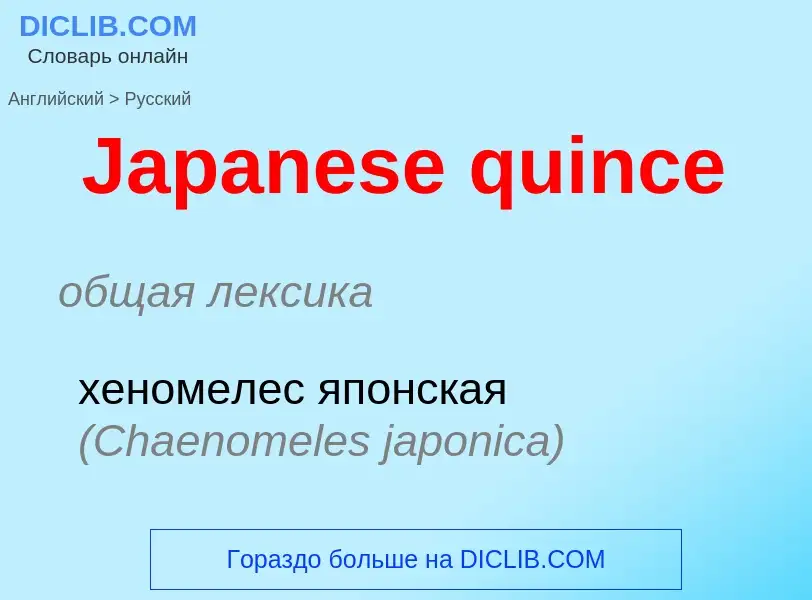 Как переводится Japanese quince на Русский язык