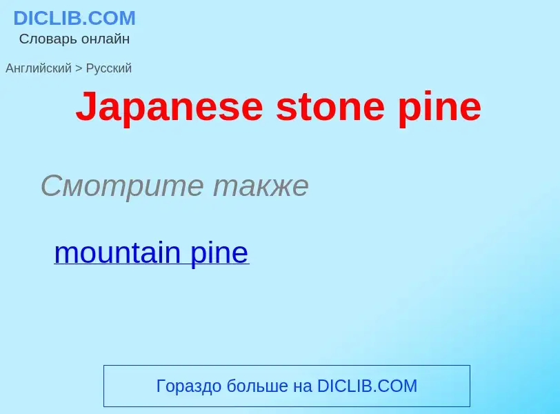 Μετάφραση του &#39Japanese stone pine&#39 σε Ρωσικά