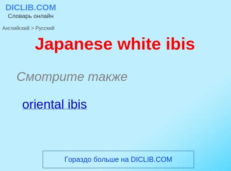 Μετάφραση του &#39Japanese white ibis&#39 σε Ρωσικά