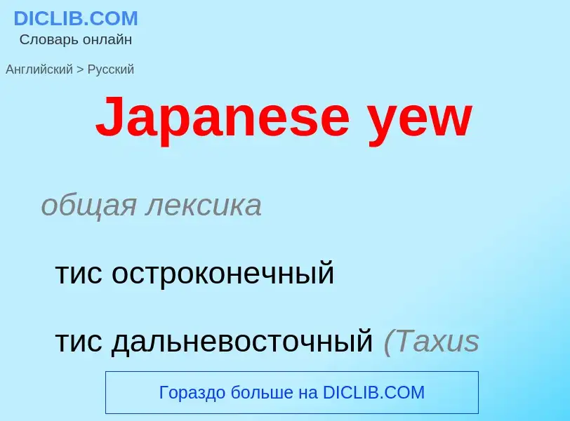 Как переводится Japanese yew на Русский язык