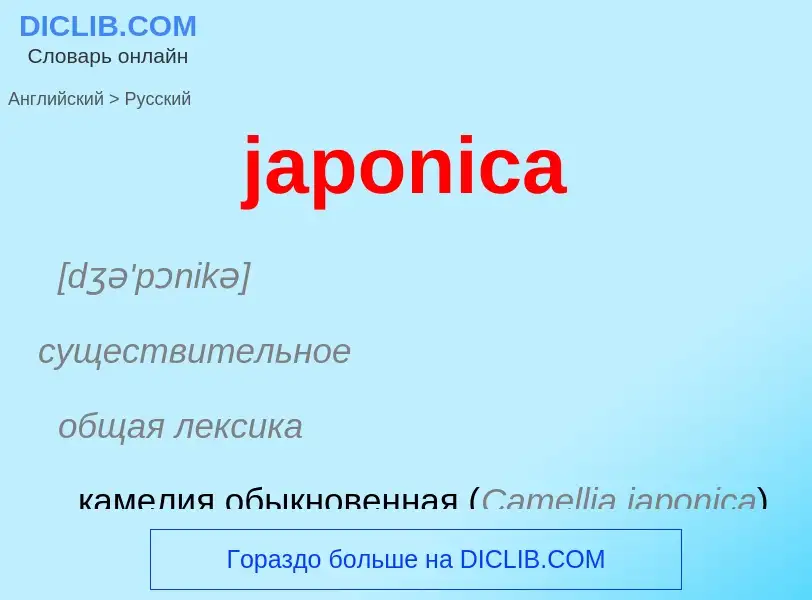 ¿Cómo se dice japonica en Ruso? Traducción de &#39japonica&#39 al Ruso