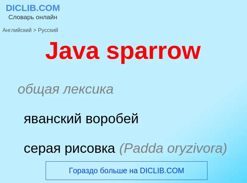 Как переводится Java sparrow на Русский язык