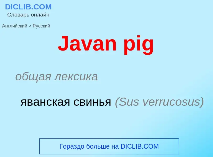 Μετάφραση του &#39Javan pig&#39 σε Ρωσικά