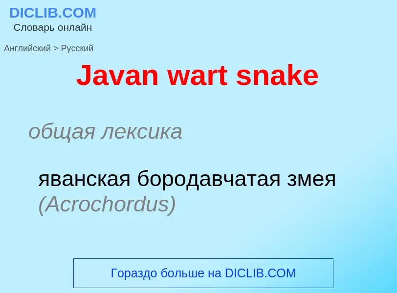 Μετάφραση του &#39Javan wart snake&#39 σε Ρωσικά