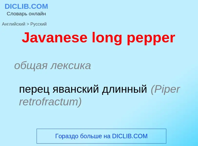 Μετάφραση του &#39Javanese long pepper&#39 σε Ρωσικά