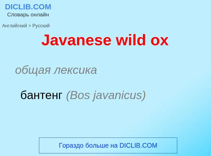 Μετάφραση του &#39Javanese wild ox&#39 σε Ρωσικά