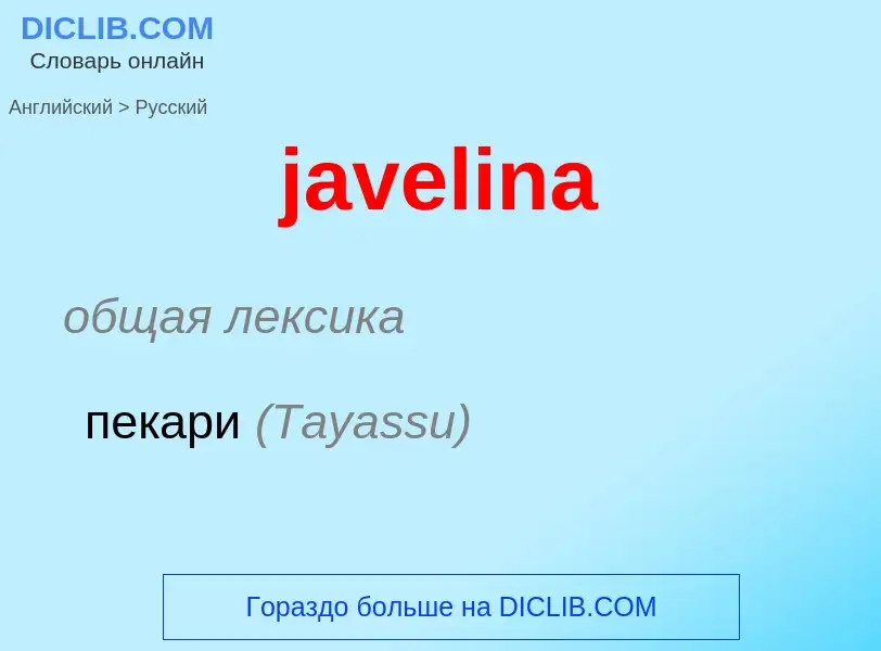 ¿Cómo se dice javelina en Ruso? Traducción de &#39javelina&#39 al Ruso