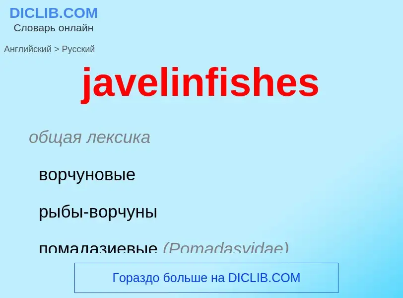 ¿Cómo se dice javelinfishes en Ruso? Traducción de &#39javelinfishes&#39 al Ruso