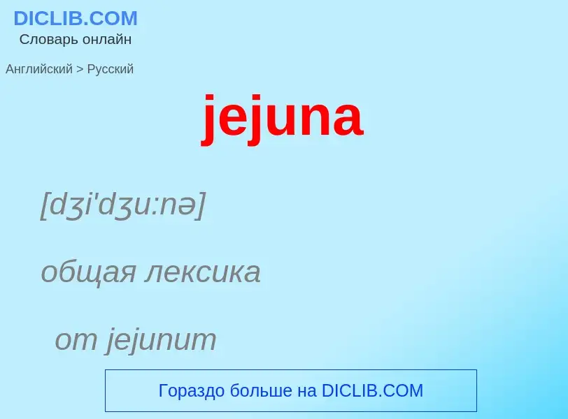 ¿Cómo se dice jejuna en Ruso? Traducción de &#39jejuna&#39 al Ruso