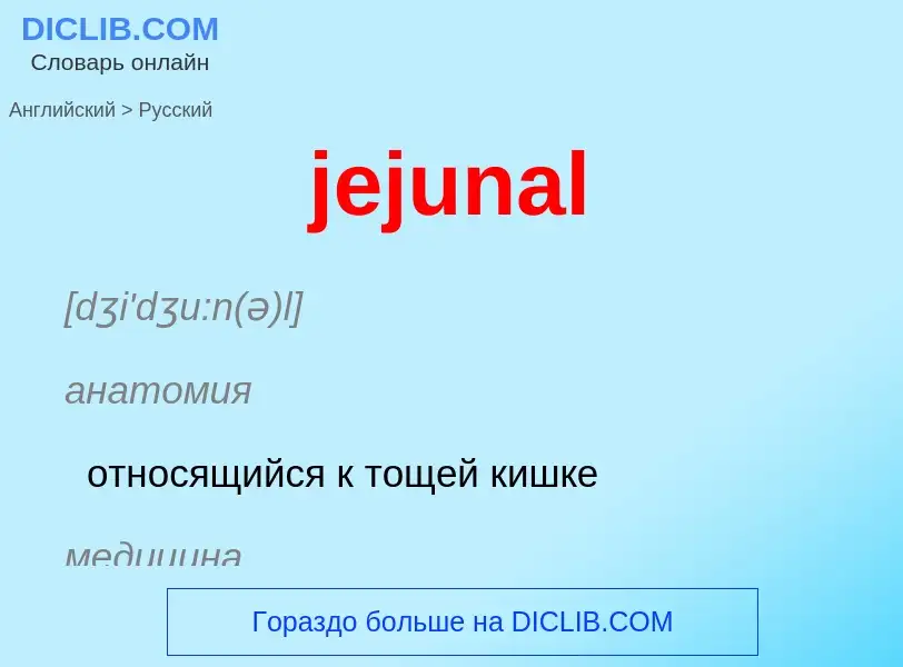 What is the Russian for jejunal? Translation of &#39jejunal&#39 to Russian