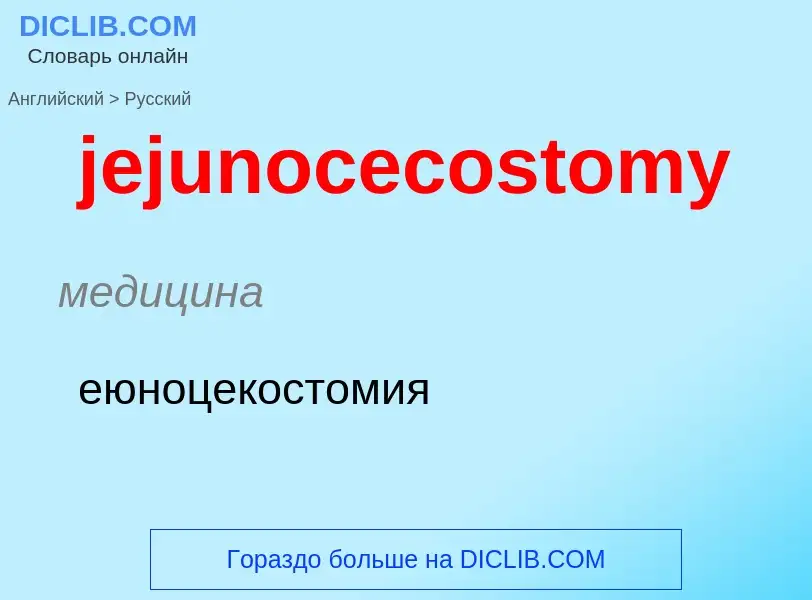 ¿Cómo se dice jejunocecostomy en Ruso? Traducción de &#39jejunocecostomy&#39 al Ruso