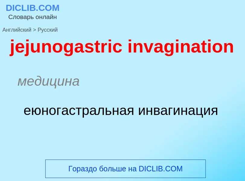 What is the Russian for jejunogastric invagination? Translation of &#39jejunogastric invagination&#3