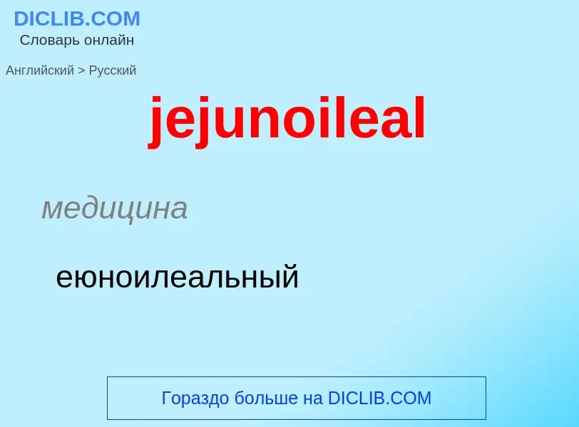 What is the Russian for jejunoileal? Translation of &#39jejunoileal&#39 to Russian