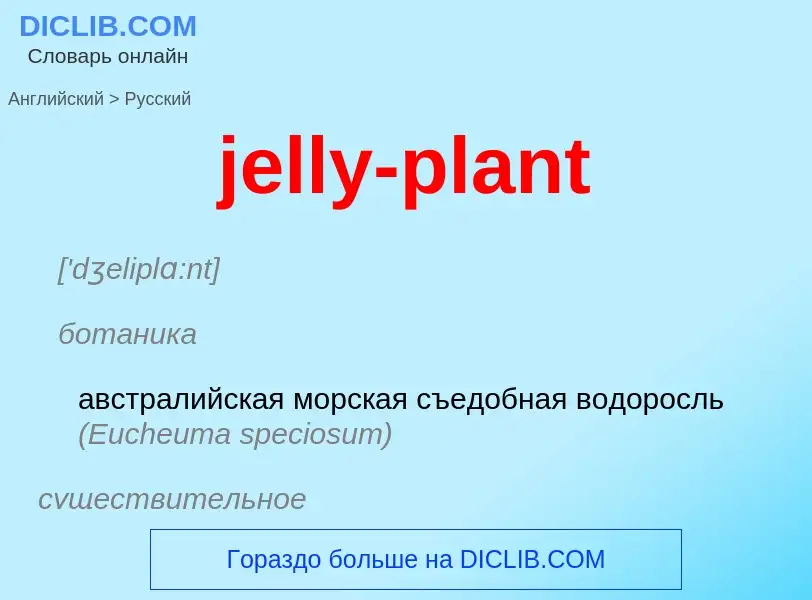 ¿Cómo se dice jelly-plant en Ruso? Traducción de &#39jelly-plant&#39 al Ruso