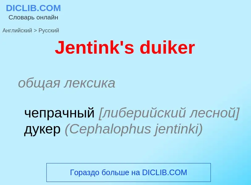 Μετάφραση του &#39Jentink's duiker&#39 σε Ρωσικά