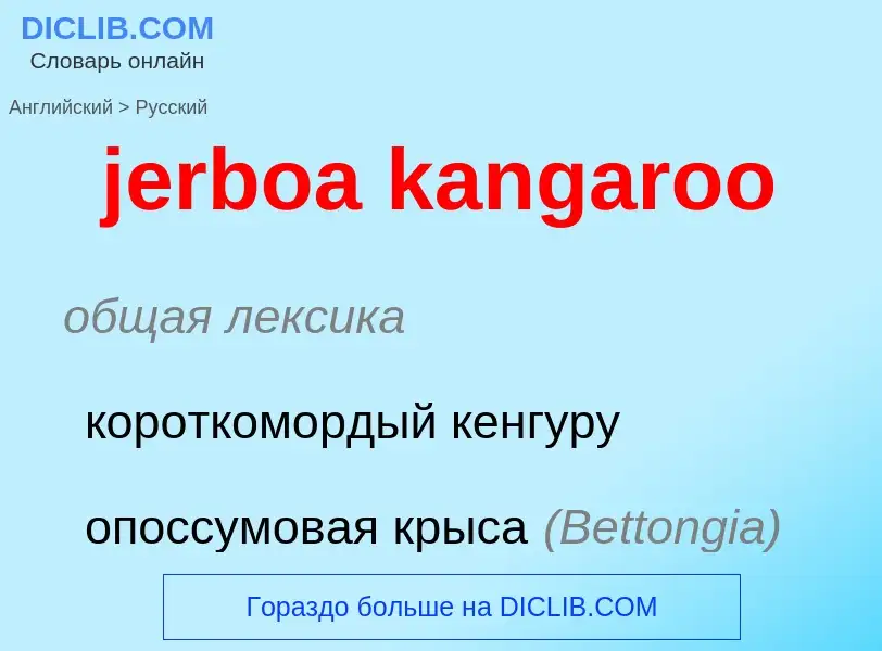 Как переводится jerboa kangaroo на Русский язык