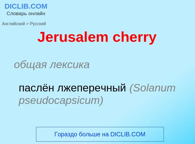 Μετάφραση του &#39Jerusalem cherry&#39 σε Ρωσικά