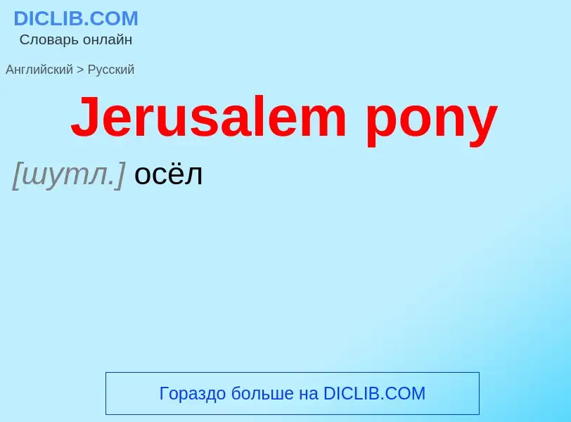 Μετάφραση του &#39Jerusalem pony&#39 σε Ρωσικά