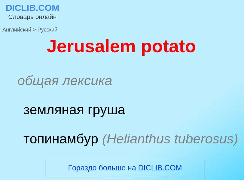 What is the Russian for Jerusalem potato? Translation of &#39Jerusalem potato&#39 to Russian